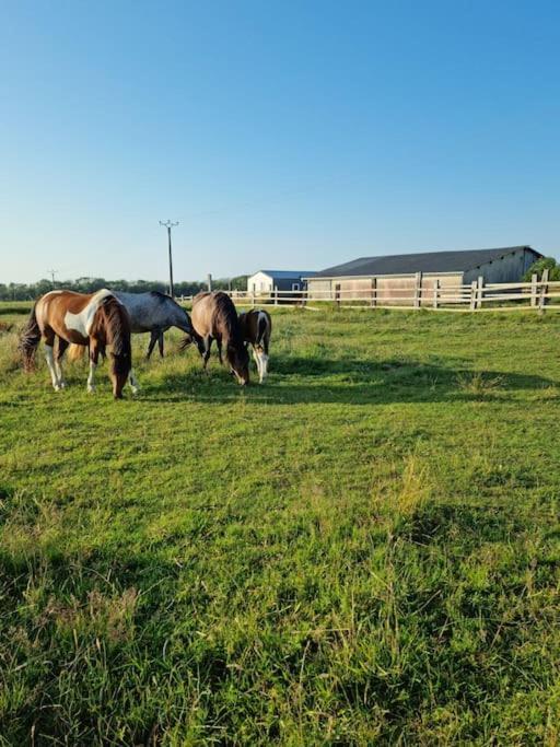 Chalet Vue Mer, Terrasse, Nature, Poney A Disposition *