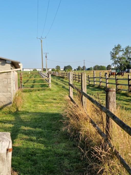 Vue Mer, Terrasse, Nature, Poney A Disposition Chalet