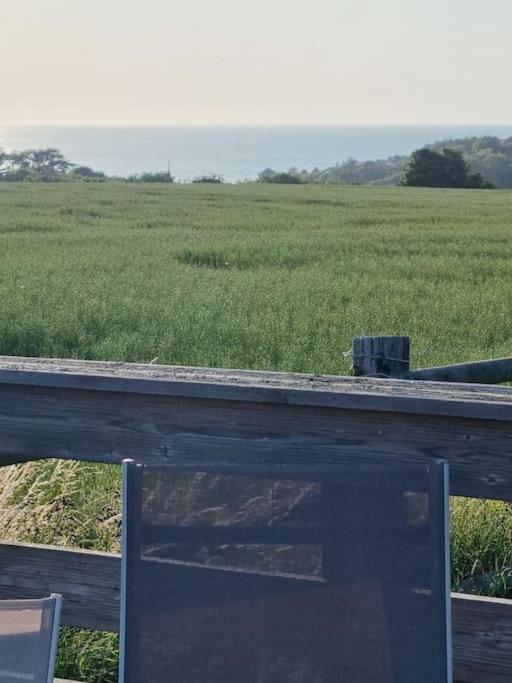 Vue Mer, Terrasse, Nature, Poney A Disposition
