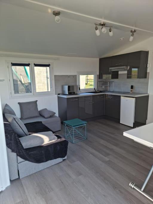 Vue Mer, Terrasse, Nature, Poney A Disposition Chalet *